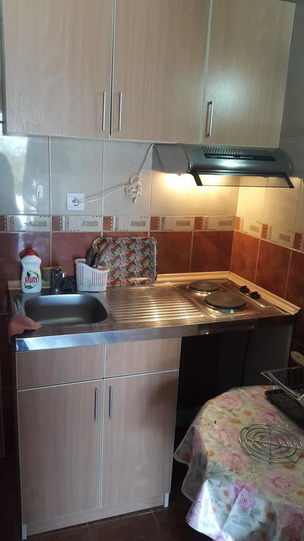 Vuko I Magdalena Midzor Apartment Petrovac Стая снимка
