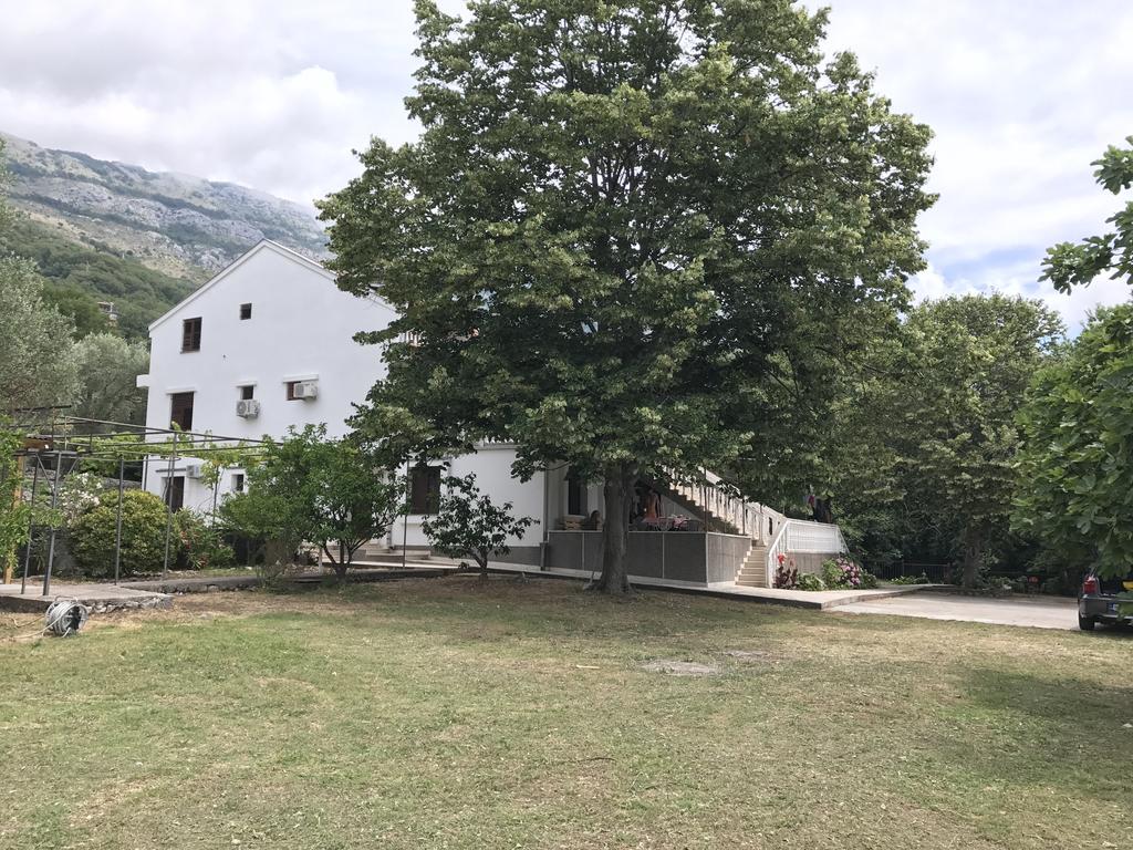 Vuko I Magdalena Midzor Apartment Petrovac Екстериор снимка